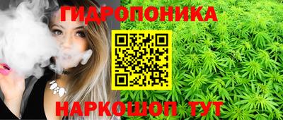 молекула духа Пенза