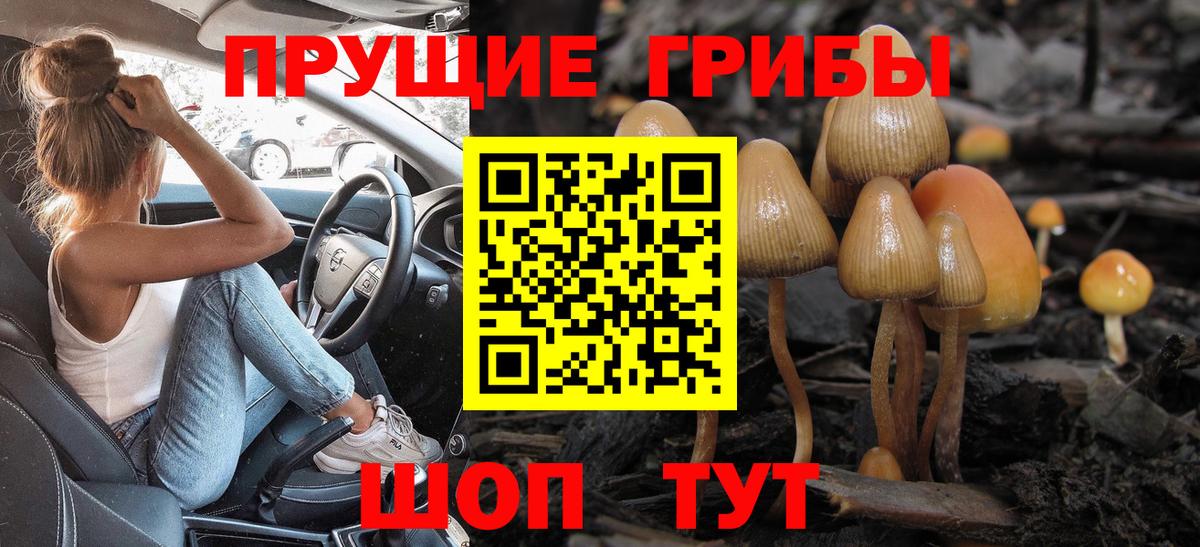 Сегежа  Псилоцибиновые грибы GOLDEN TEACHER  Вход с VPN  Псилоцибиновые грибы прущие грибы 