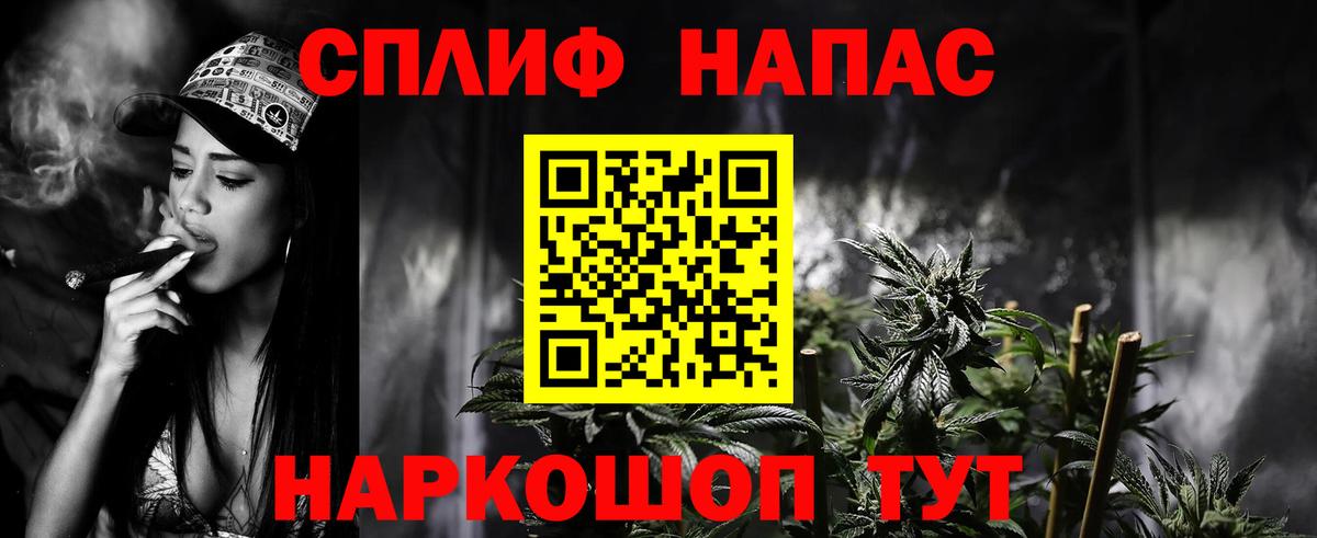 Марихуана конопля Сегежа
